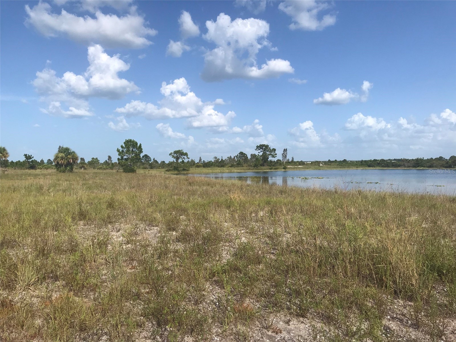 48033 Bermont Road Punta Gorda FL 33982 - No name C7522011 image8