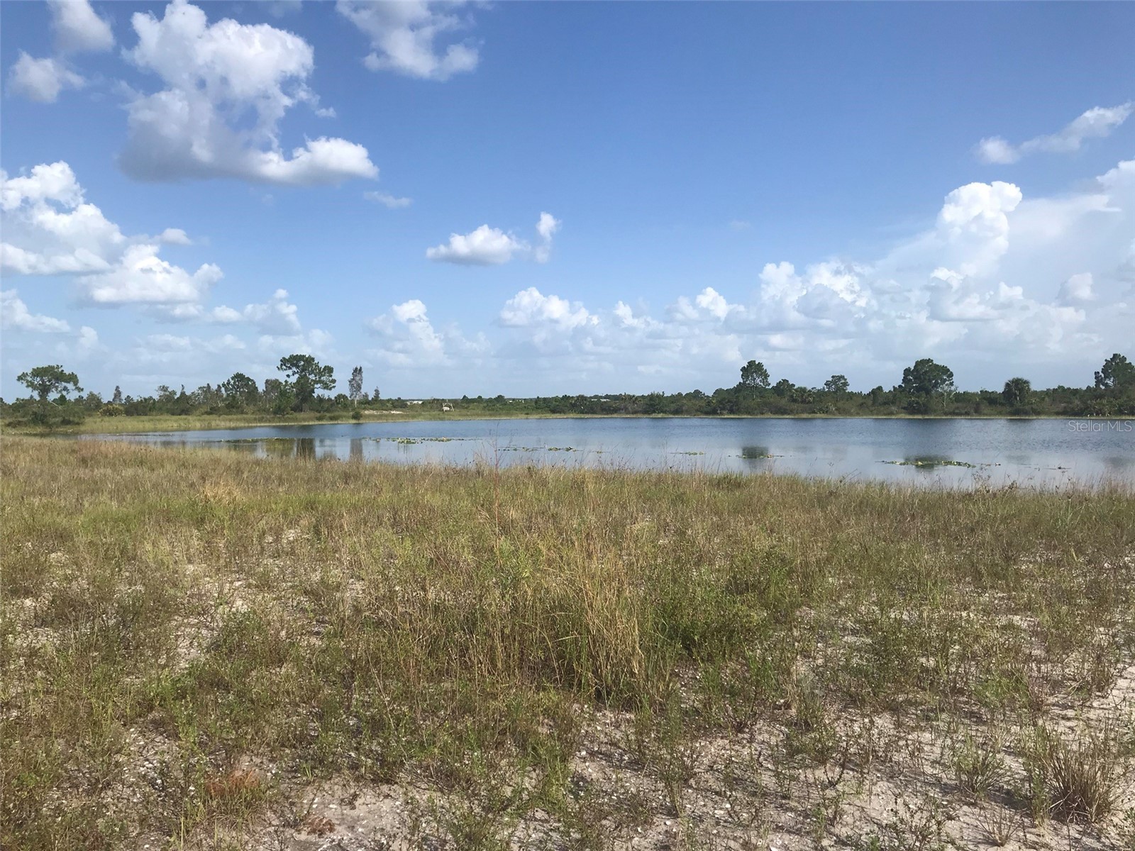 48033 Bermont Road Punta Gorda FL 33982 - No name C7522011 image9