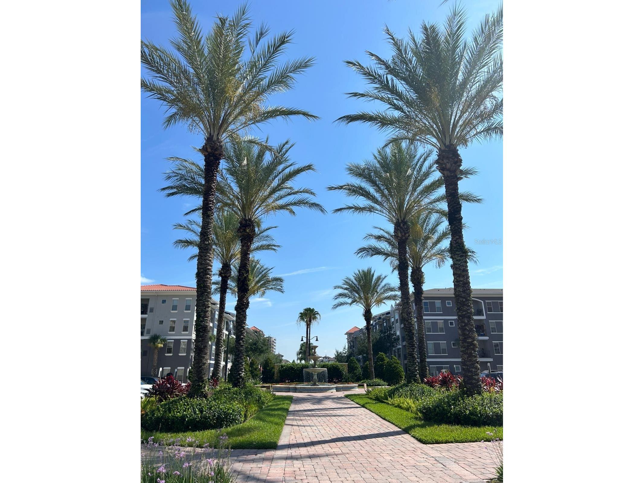 4804 Cayview Avenue #20412 Orlando FL 32819 O6387889 image27