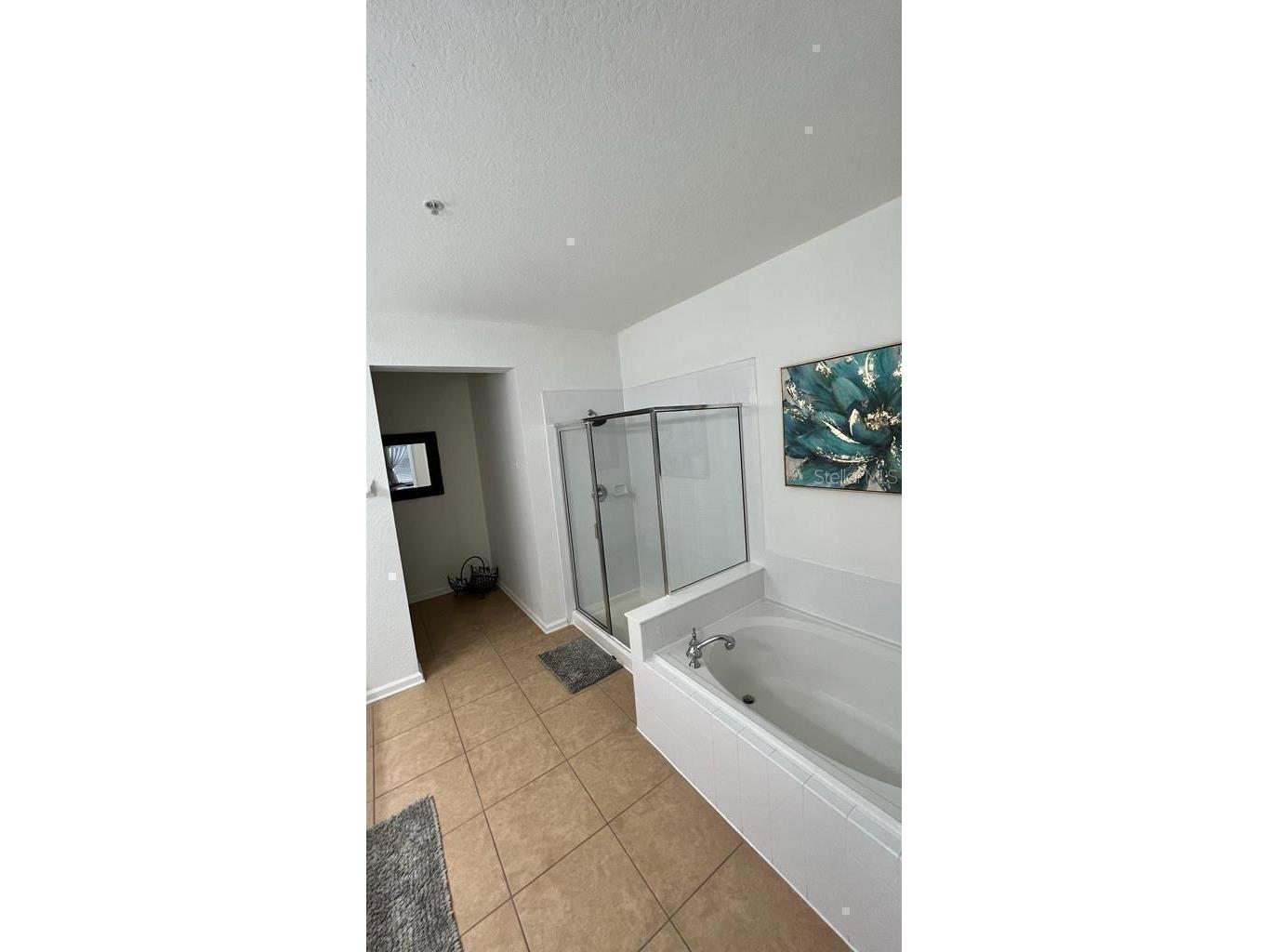 4804 Cayview Avenue #20412 Orlando FL 32819 O6387889 image37