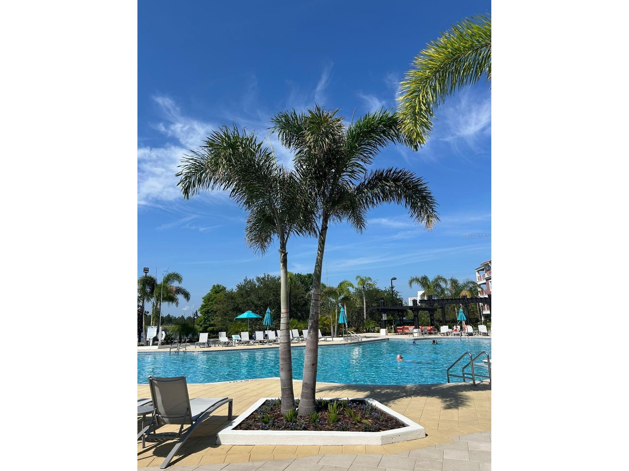 4804 Cayview Avenue #20412 Orlando FL 32819 O6387889 image6