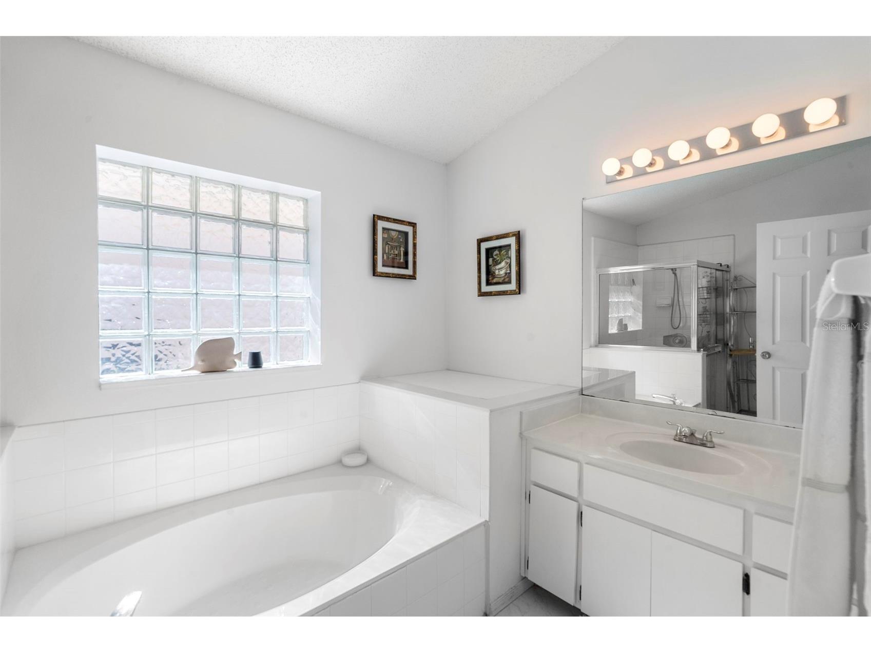 4804 Pliny Court Kissimmee FL 34746 O6375848 image21