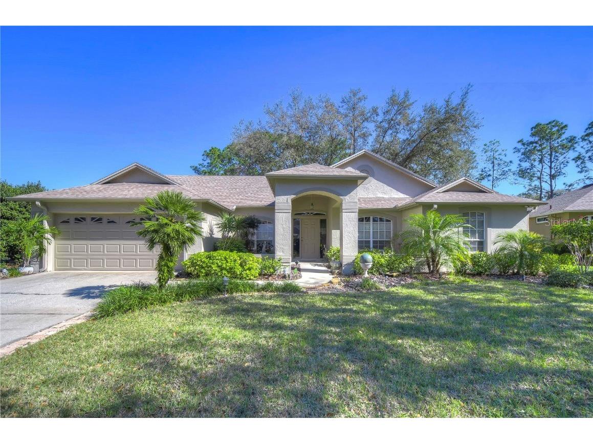 4804 Willow Ridge Terrace Valrico FL 33596 T3505354 image1