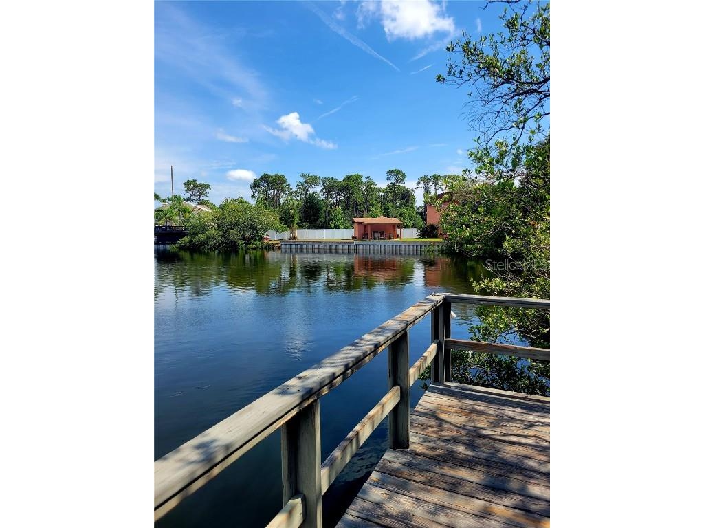 4805 Alt 19 #113 Palm Harbor FL 34683 U8202622 image1