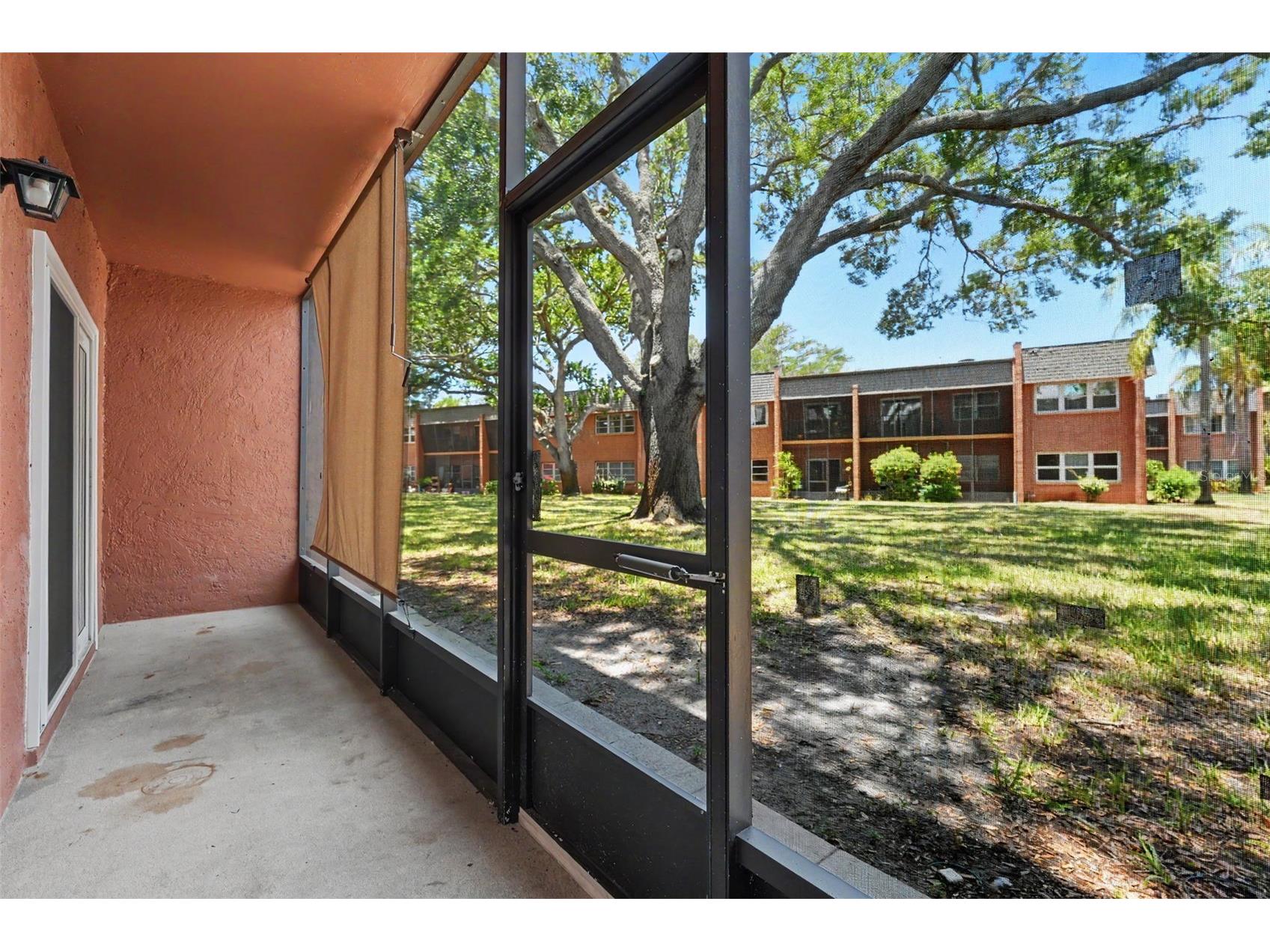 4805 Alt 19 #114 Palm Harbor FL 34683 TB8525144 image20