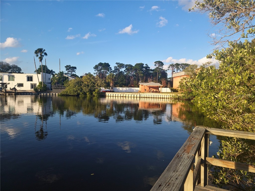 4805 Alt 19 #215 Palm Harbor FL 34683 TB8454674 image17