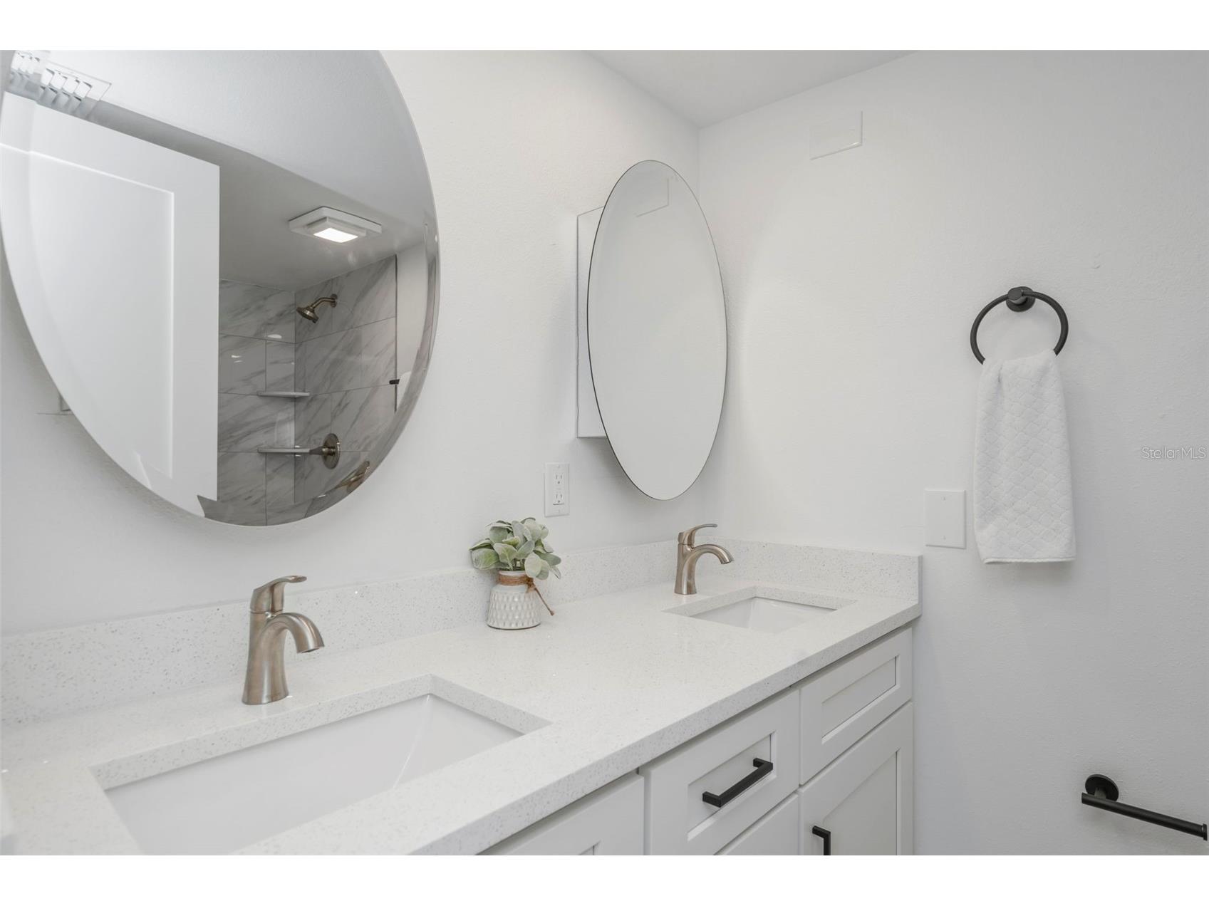 4805 Alt 19 #311 Palm Harbor FL 34683 TB8481567 image20