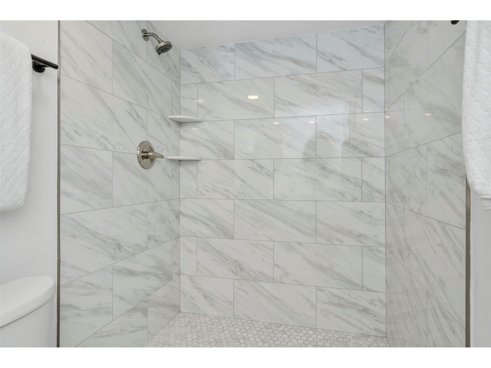 4805 Alt 19 #311 Palm Harbor FL 34683 TB8481567 image21