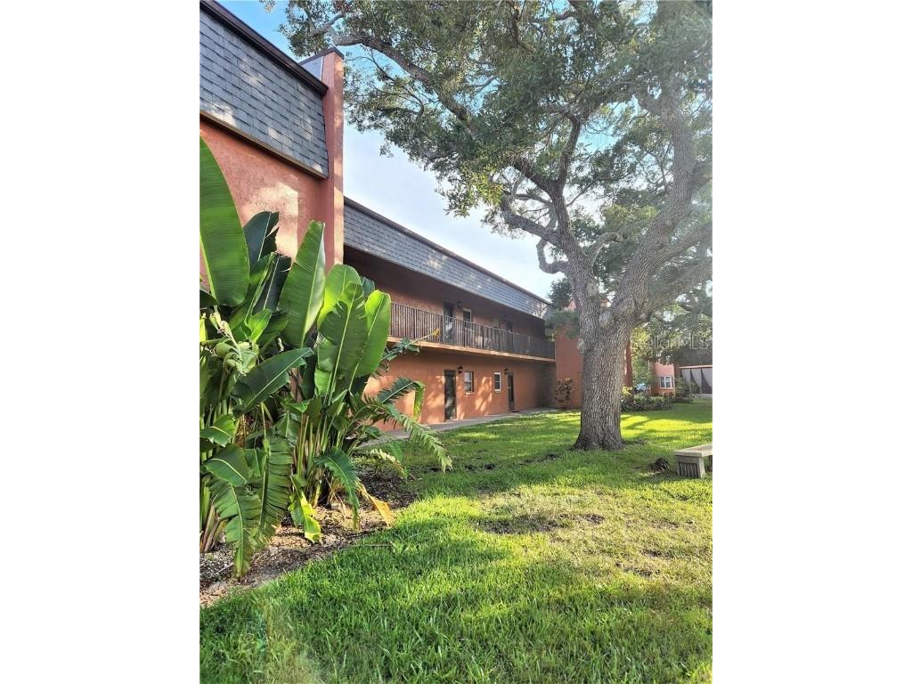 4805 Alt 19 #313 Palm Harbor FL 34683 T3539297 image1