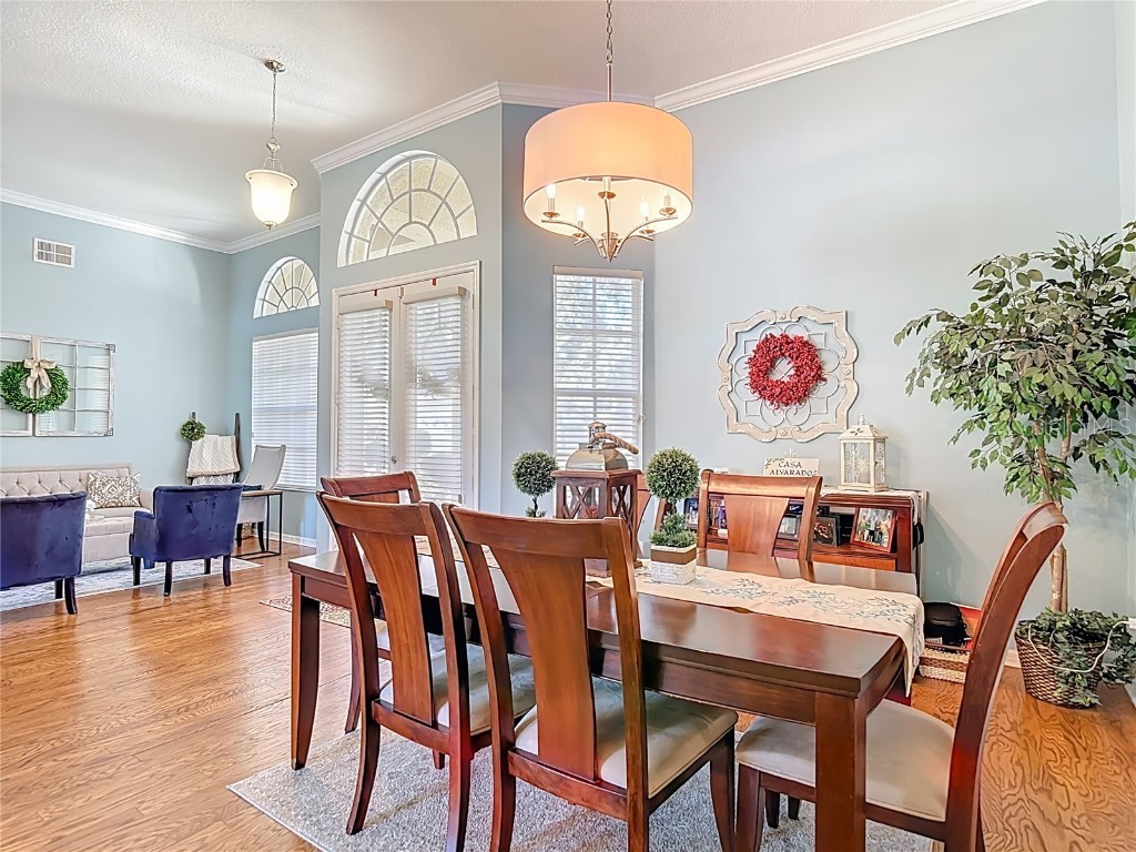 4805 Tea Rose Court Lutz FL 33558 TB8441486 image12