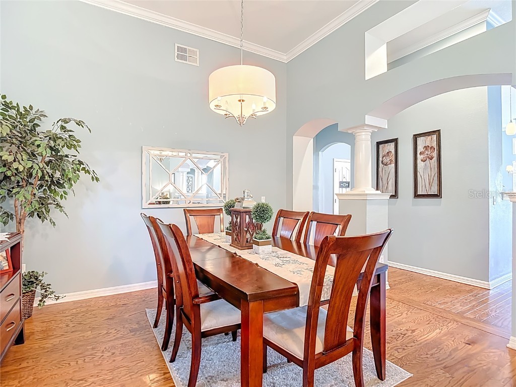 4805 Tea Rose Court Lutz FL 33558 TB8441486 image13