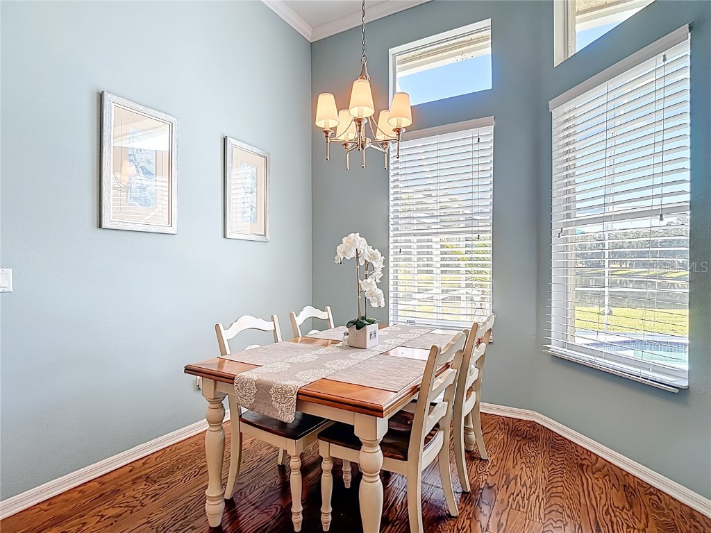 4805 Tea Rose Court Lutz FL 33558 TB8441486 image23