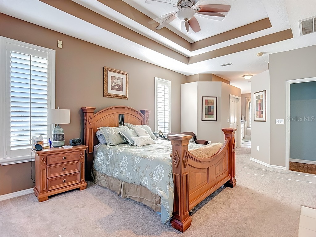 4805 Tea Rose Court Lutz FL 33558 TB8441486 image28