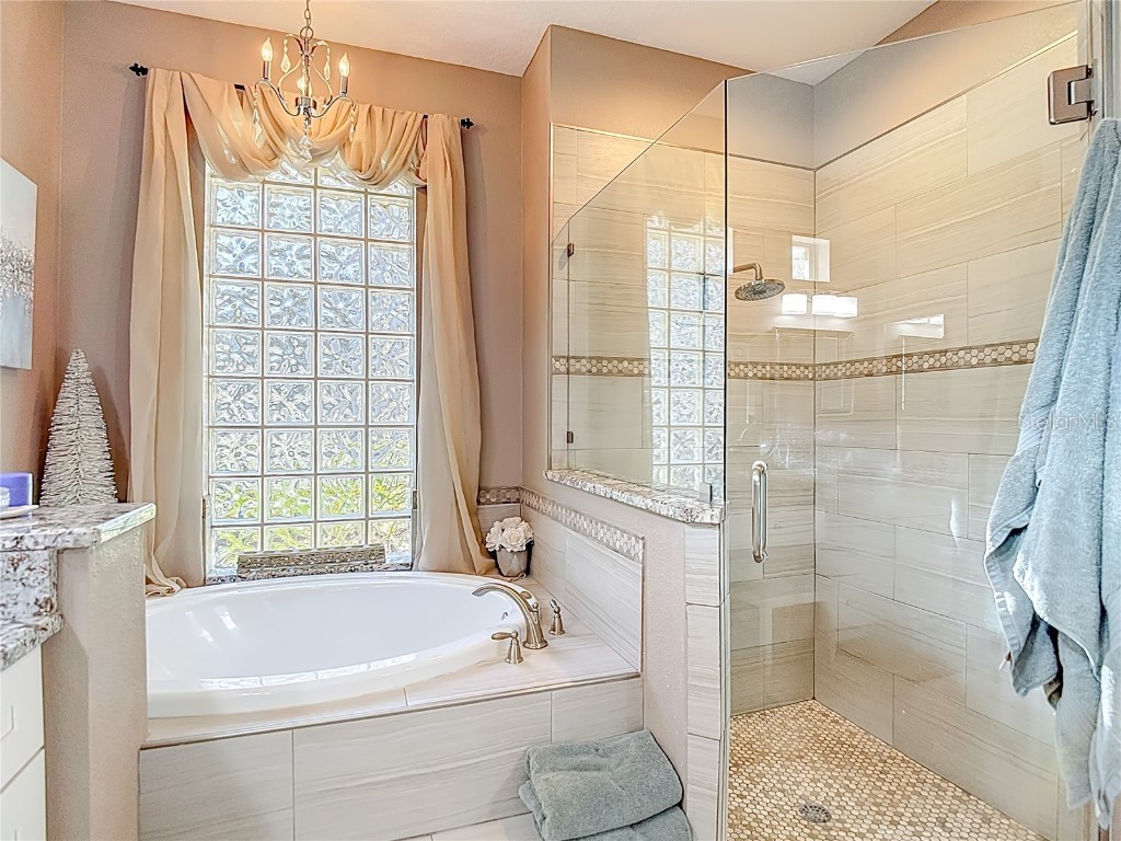 4805 Tea Rose Court Lutz FL 33558 TB8441486 image34