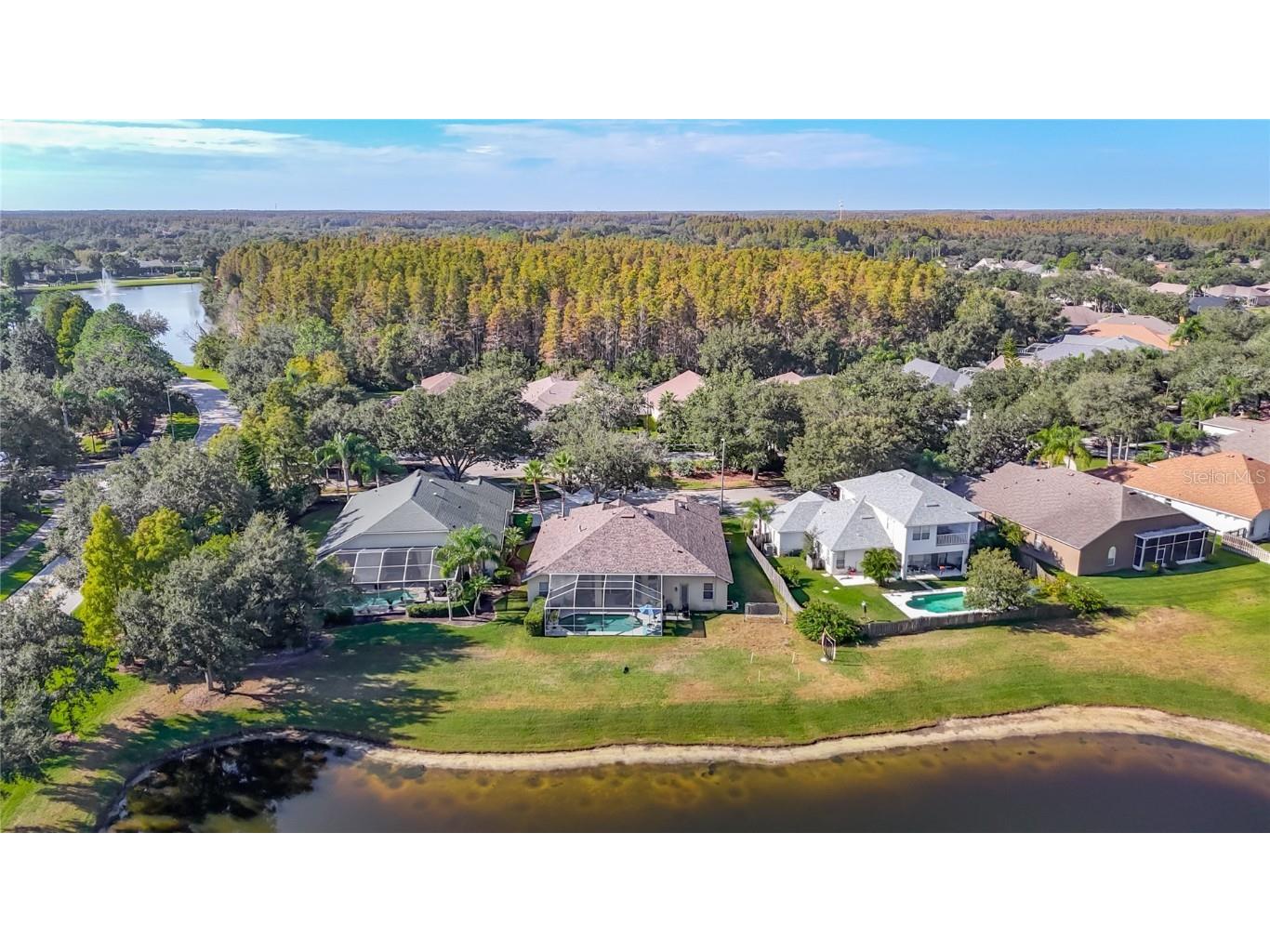 4805 Tea Rose Court Lutz FL 33558 TB8441486 image53