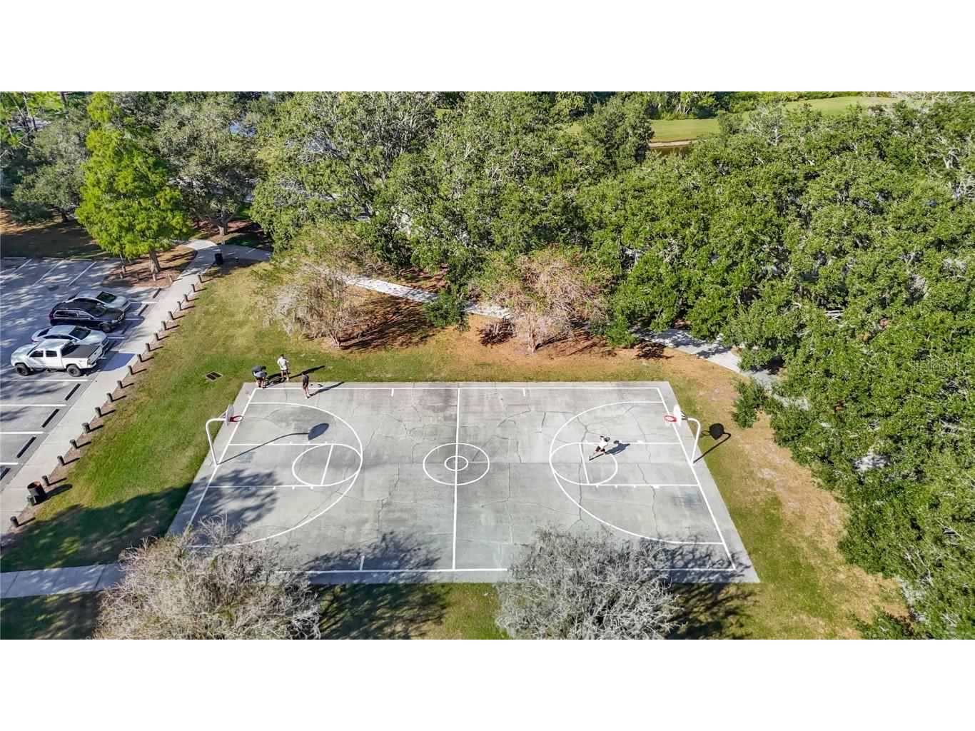 4805 Tea Rose Court Lutz FL 33558 TB8441486 image58