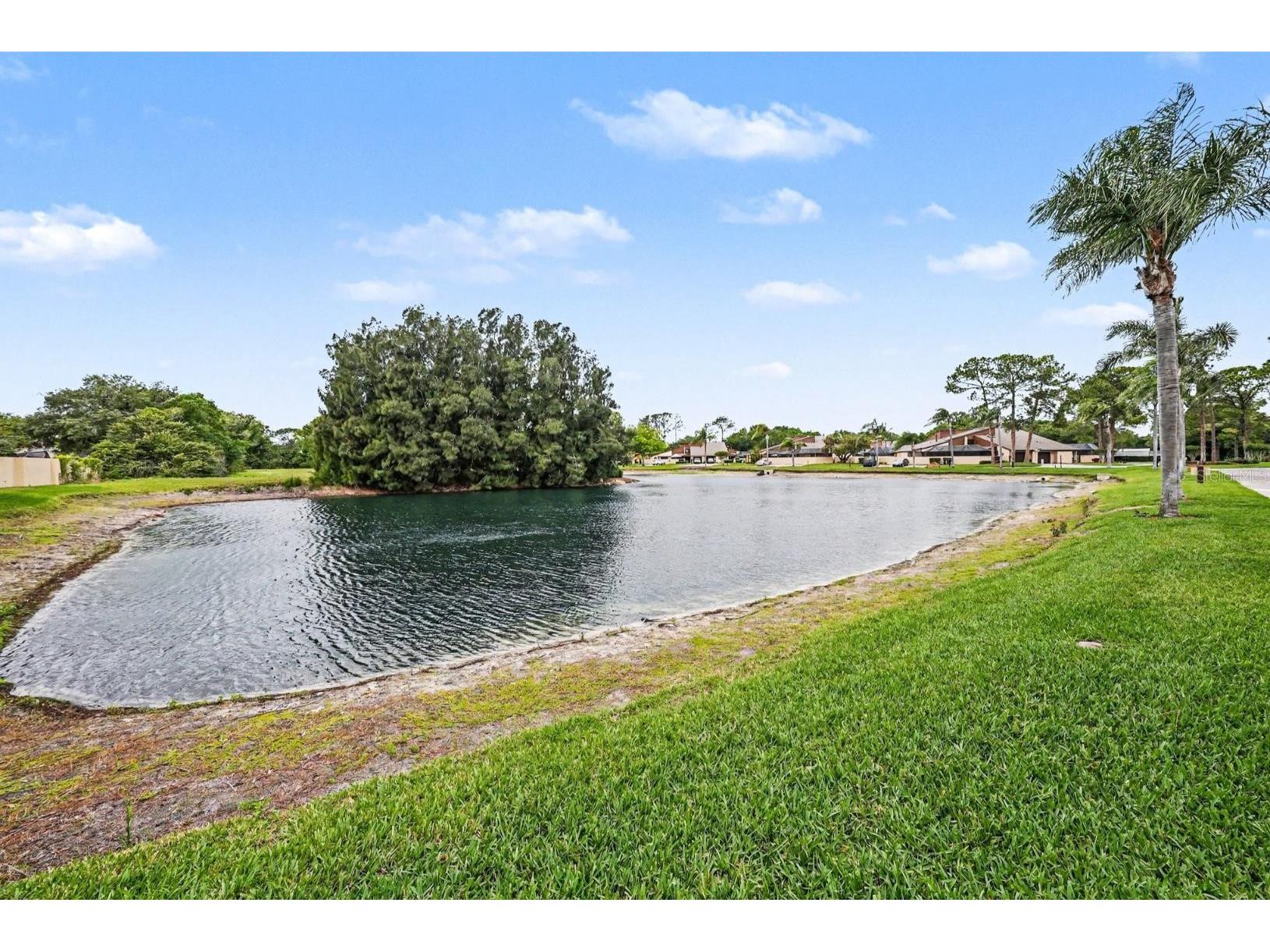 4805 Umber Court Tampa FL 33624 TB8495596 image27