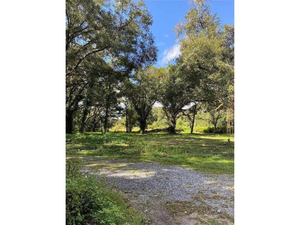 4805 W Knights Griffin Road Plant City FL 33565 T3329922 image1