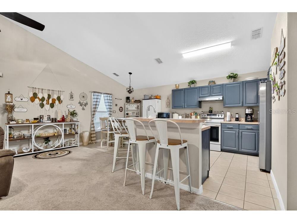 4806 Cumbrian Lakes Drive Kissimmee FL 34746 S5138316 image10