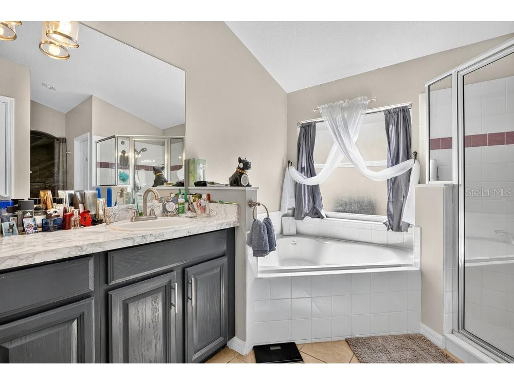 4806 Cumbrian Lakes Drive Kissimmee FL 34746 S5138316 image18