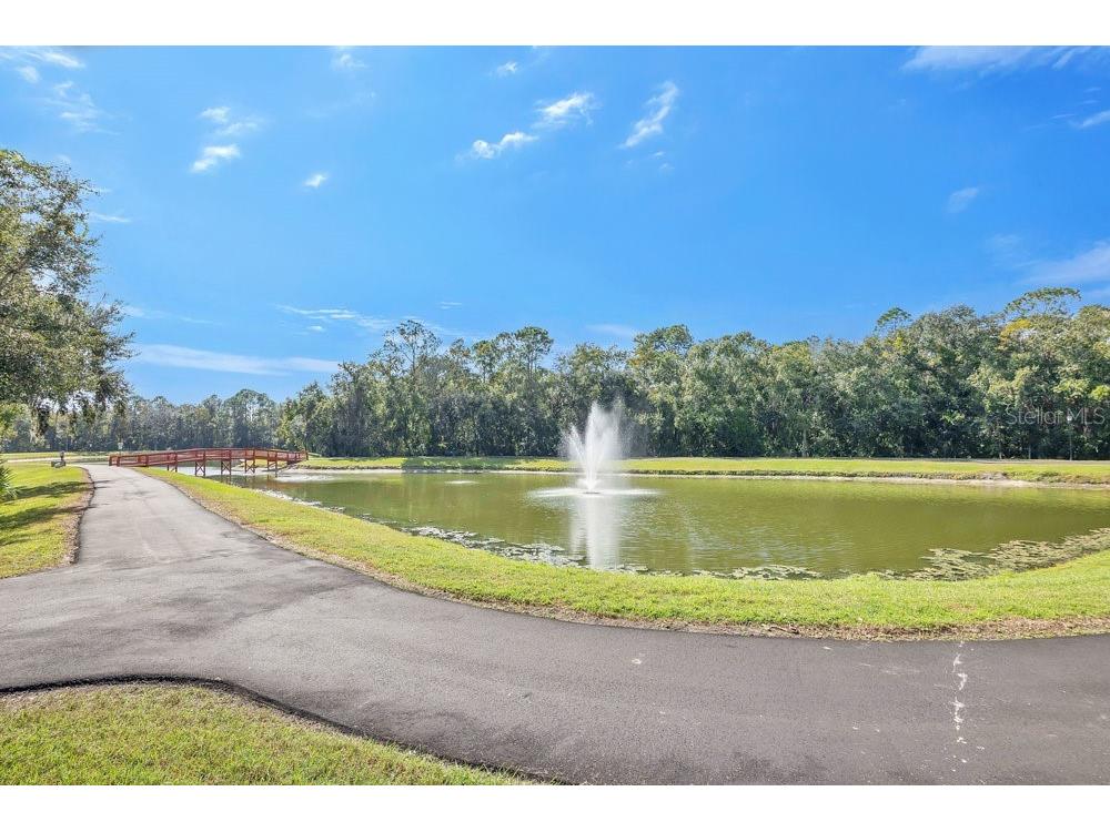 4806 Cumbrian Lakes Drive Kissimmee FL 34746 S5138316 image28