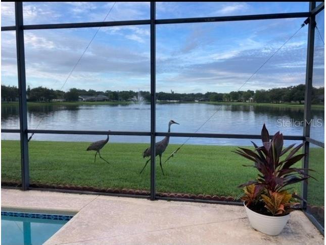 4806 E Lake Reserve Boulevard Saint Cloud FL 34771 - EAST LAKE TOHOPEKALIGA S5147160 image35