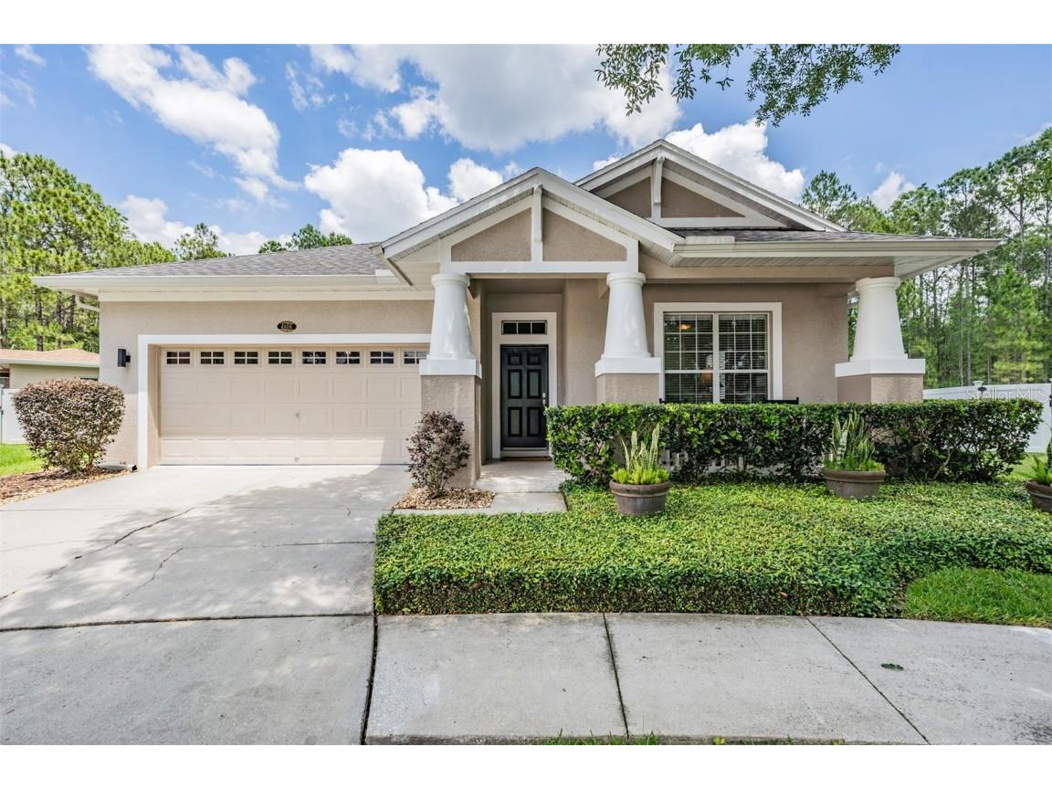 4806 Sky Blue Drive Lutz FL 33558 T3370936 image1