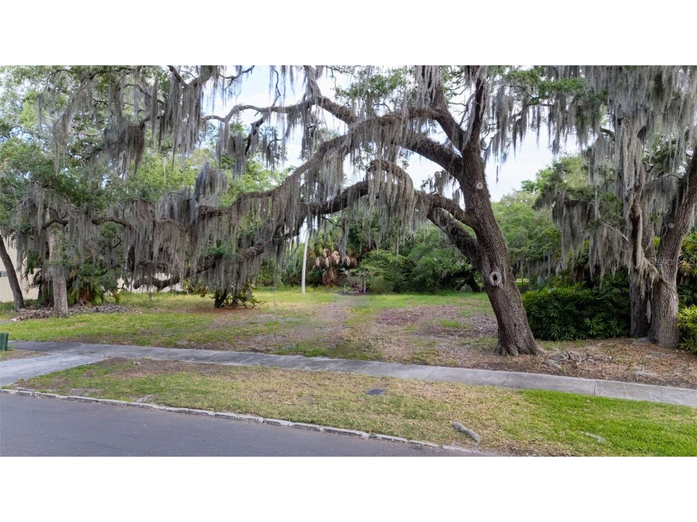 4806 W Beachway Drive Tampa FL 33609 T3522221 image4