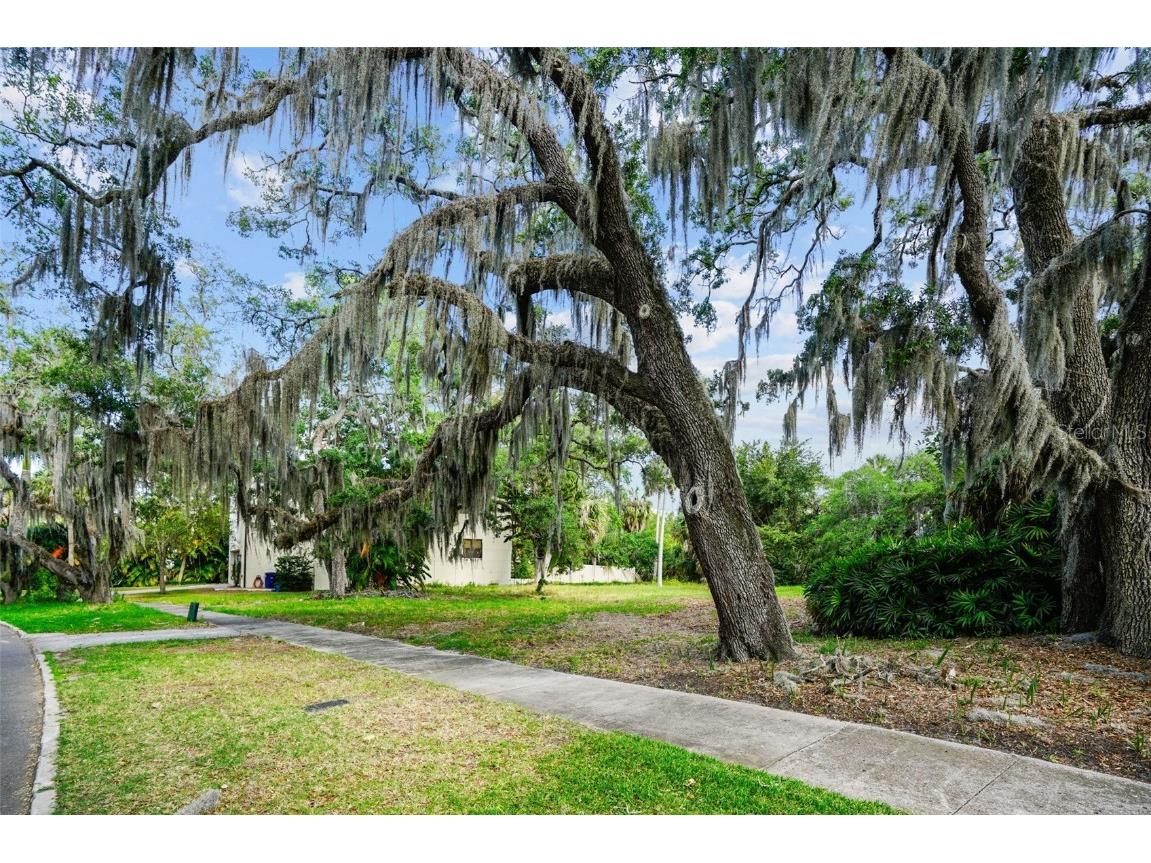 4806 W Beachway Drive Tampa FL 33609 T3522221 image5