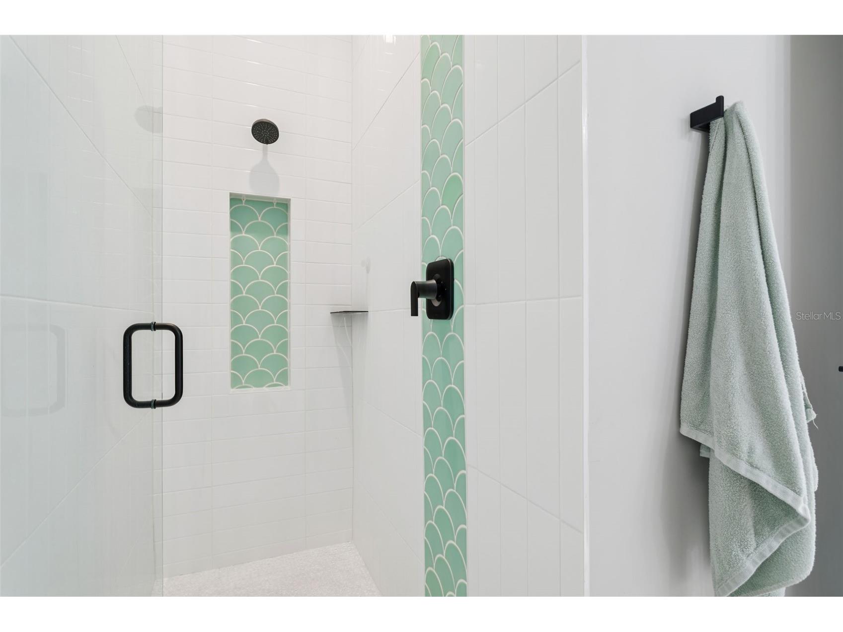 4806 W Euclid Avenue Tampa FL 33629 TB8394212 image46