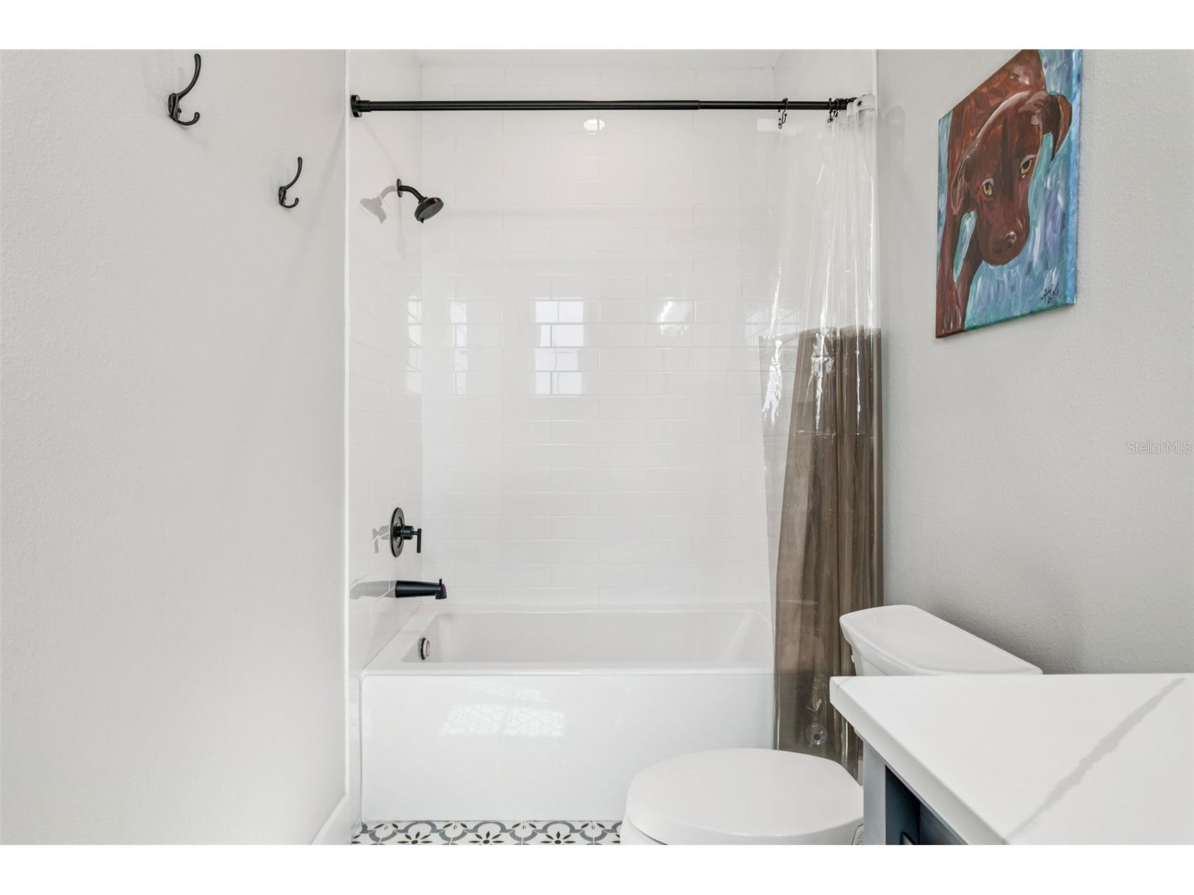 4806 W Euclid Avenue Tampa FL 33629 TB8394212 image54