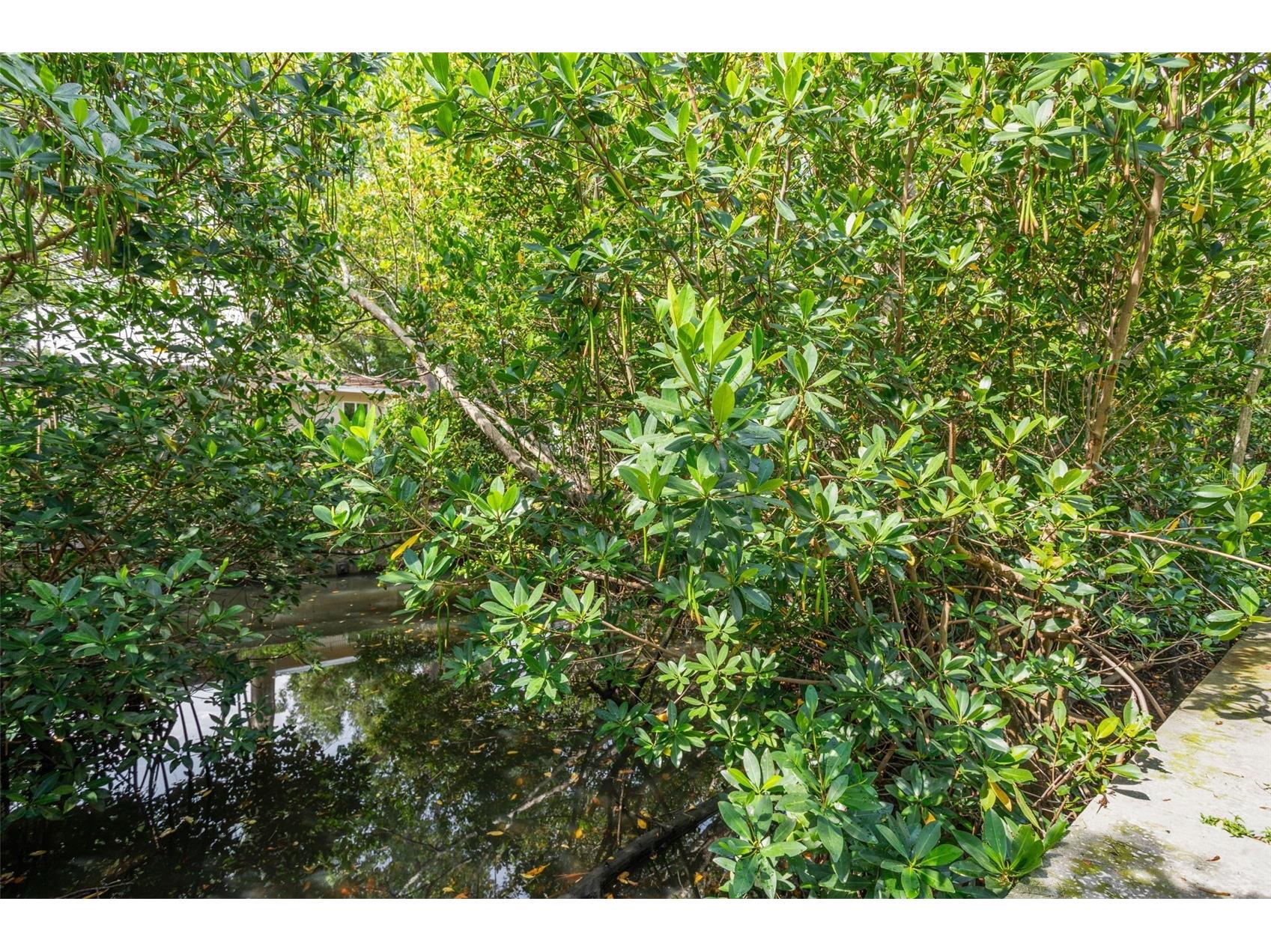 4806 W Euclid Avenue Tampa FL 33629 TB8394212 image68