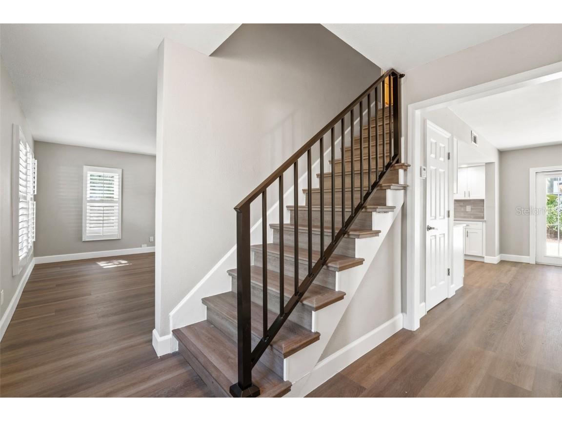 4806 W Juno Street Tampa FL 33629 TB8398584 image2