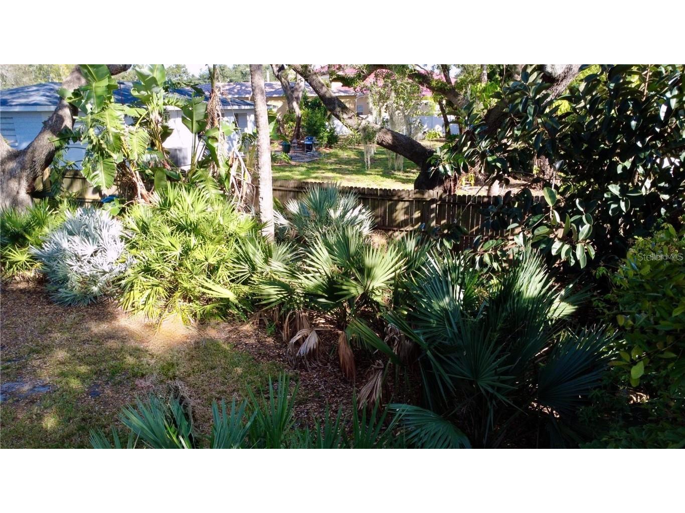 4806 W San Jose Street Tampa FL 33629 TB8443450 image17