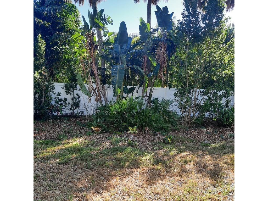 4806 W San Jose Street Tampa FL 33629 TB8443450 image8