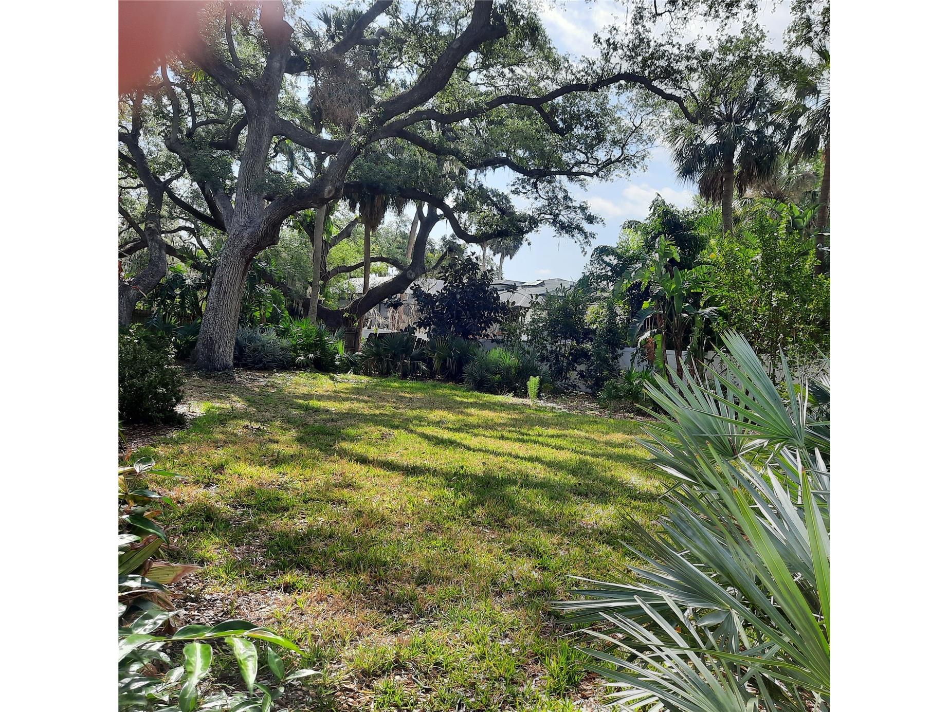 4806 W San Jose Street Tampa FL 33629 TB8444000 image2