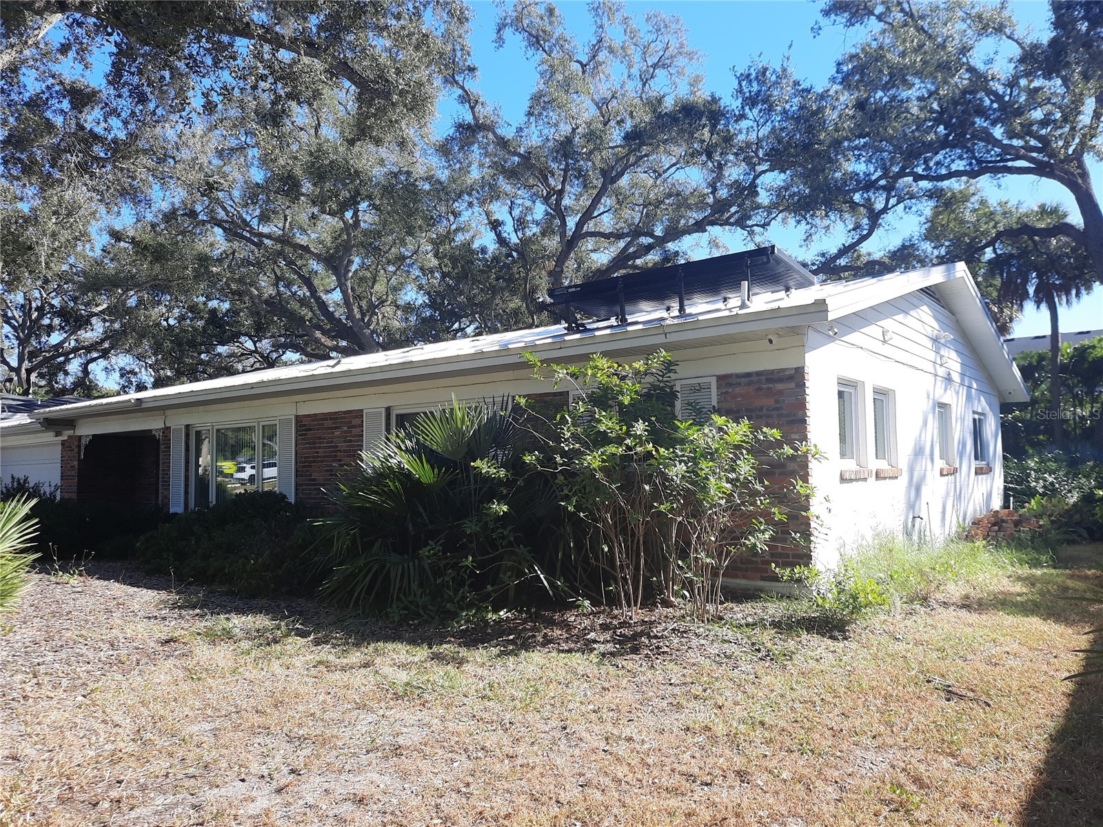 4806 W San Jose Street Tampa FL 33629 TB8444000 image4