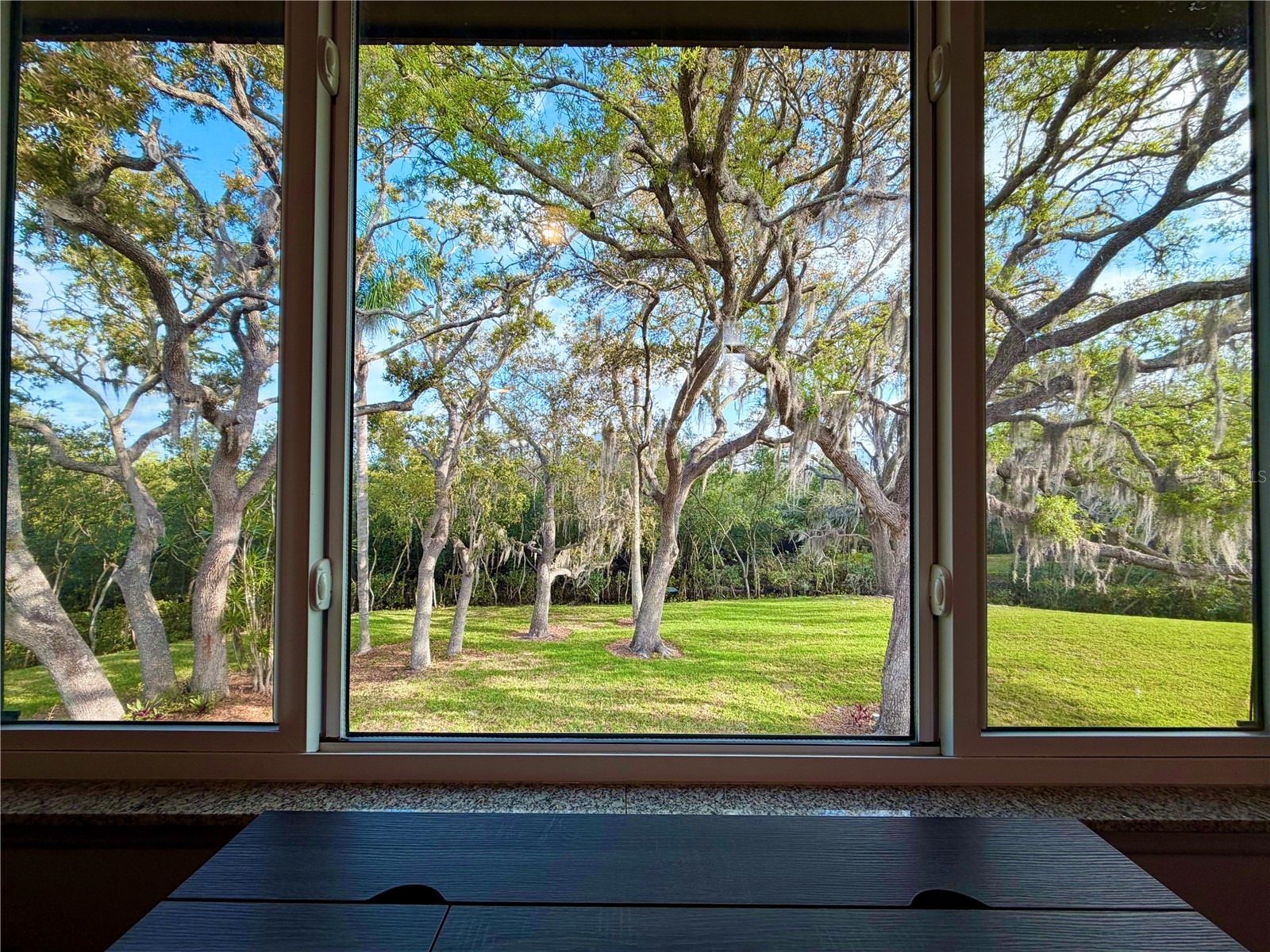 4807 Marine Parkway #202 New Port Richey FL 34652 W7883890 image2
