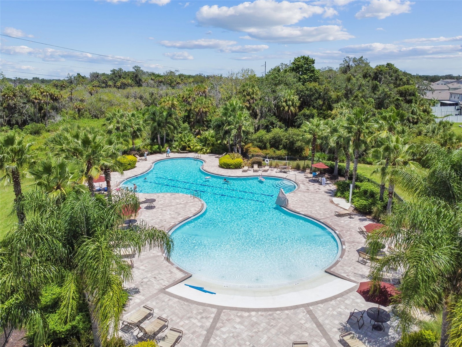 4807 Windy Hammock Way Palmetto FL 34221 TB8472513 image86