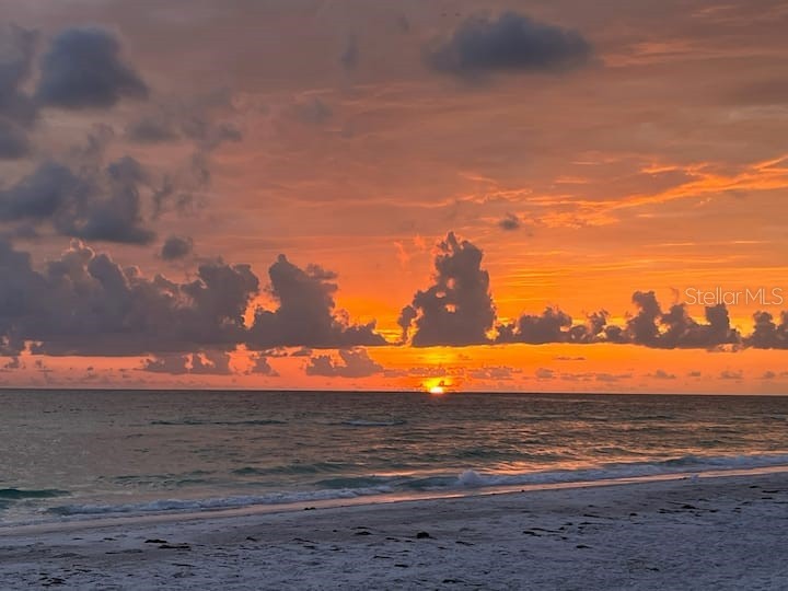 4808 Gulf Drive #B Holmes Beach FL 34217 TB8368522 image56