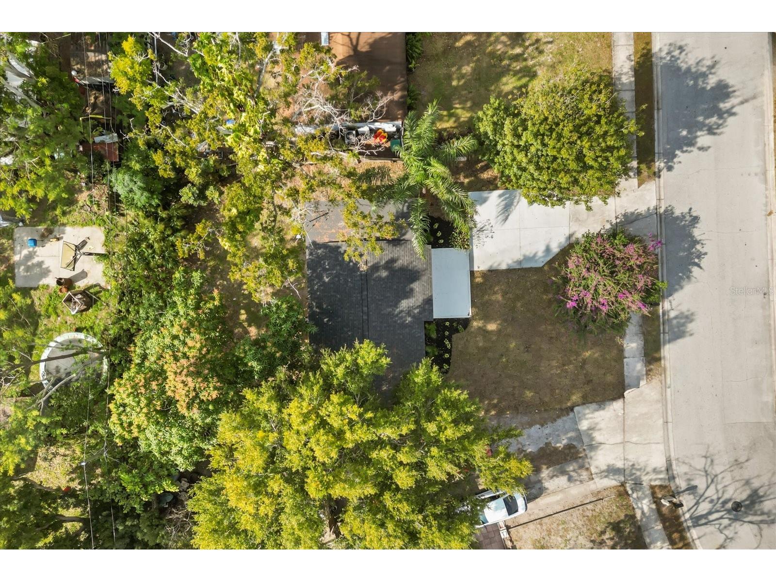 4808 Manduria Street Orlando FL 32819 S5142049 image21