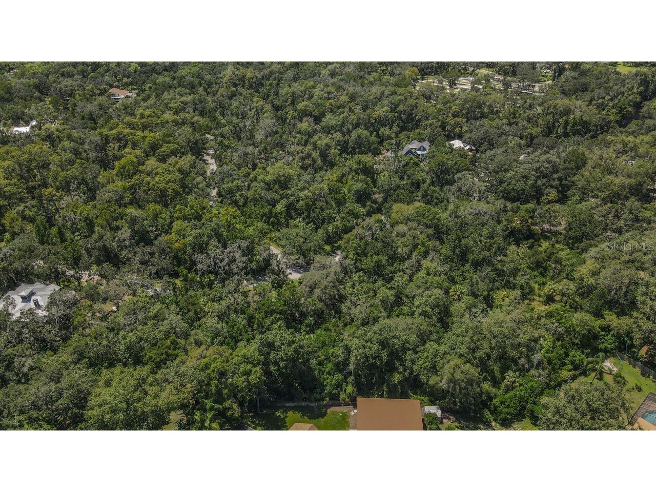 4808 Rambling River Road Brandon FL 33511 T3551852 image10