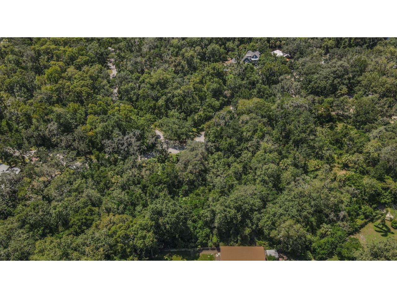 4808 Rambling River Road Brandon FL 33511 T3551852 image11