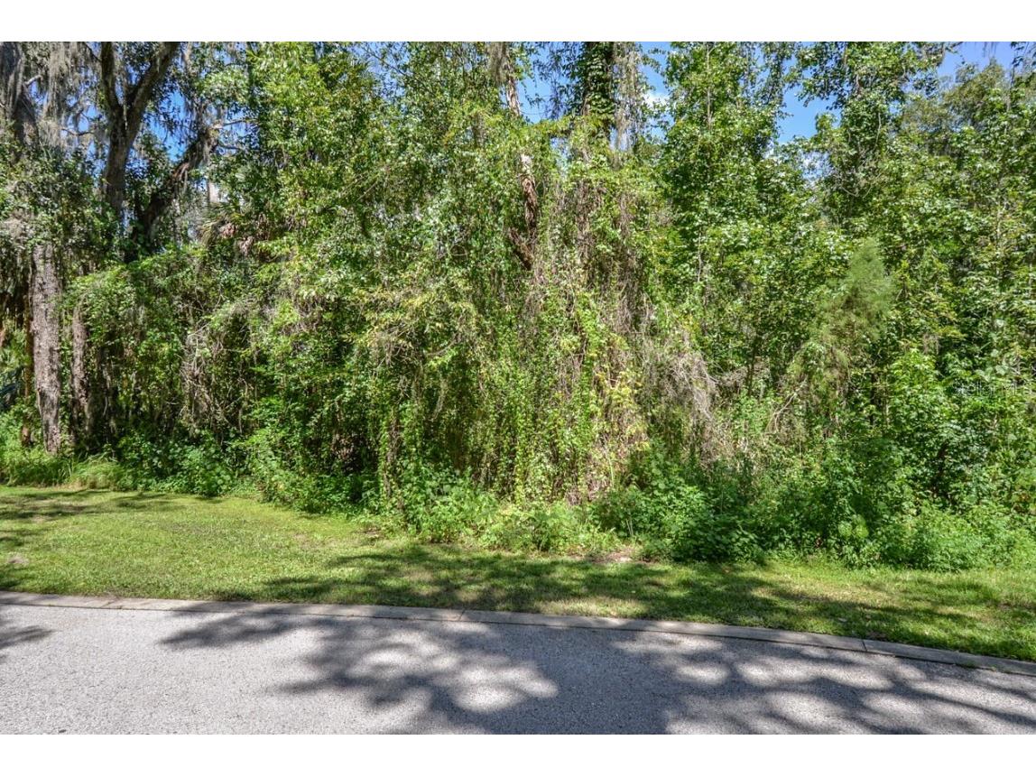 4808 Rambling River Road Brandon FL 33511 T3551852 image2