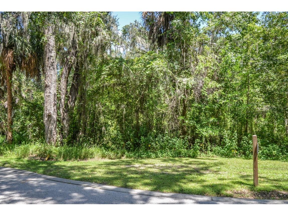 4808 Rambling River Road Brandon FL 33511 T3551852 image4