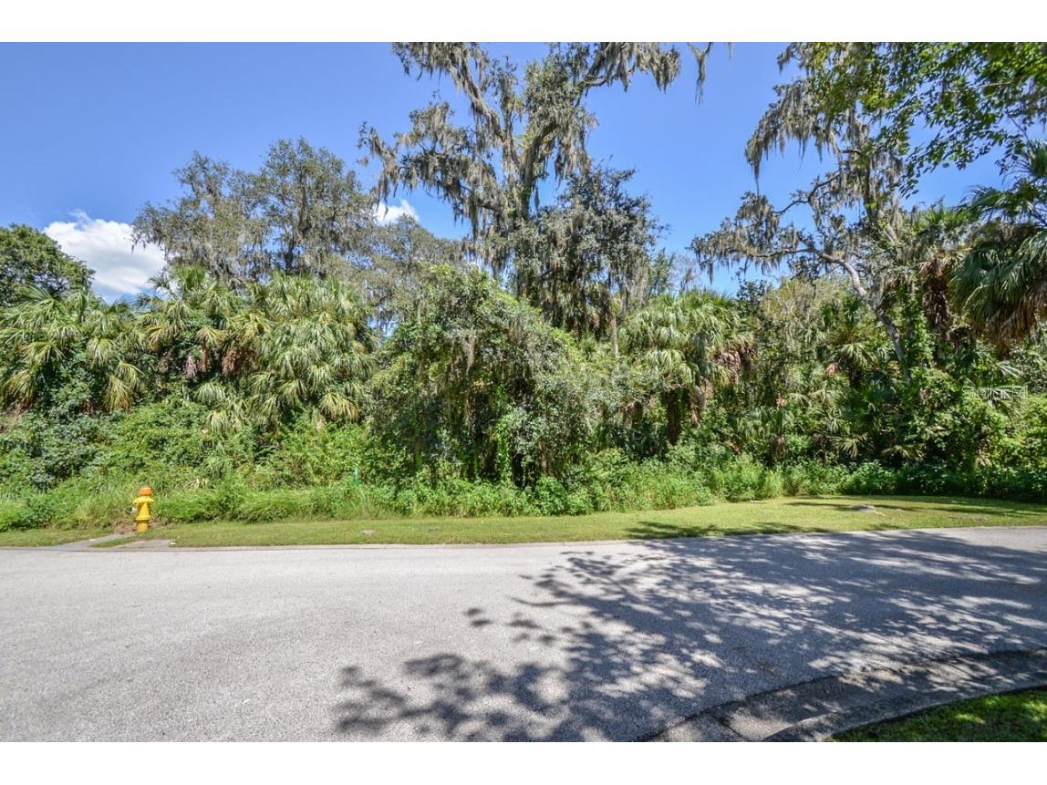 4808 Rambling River Road Brandon FL 33511 T3551852 image6