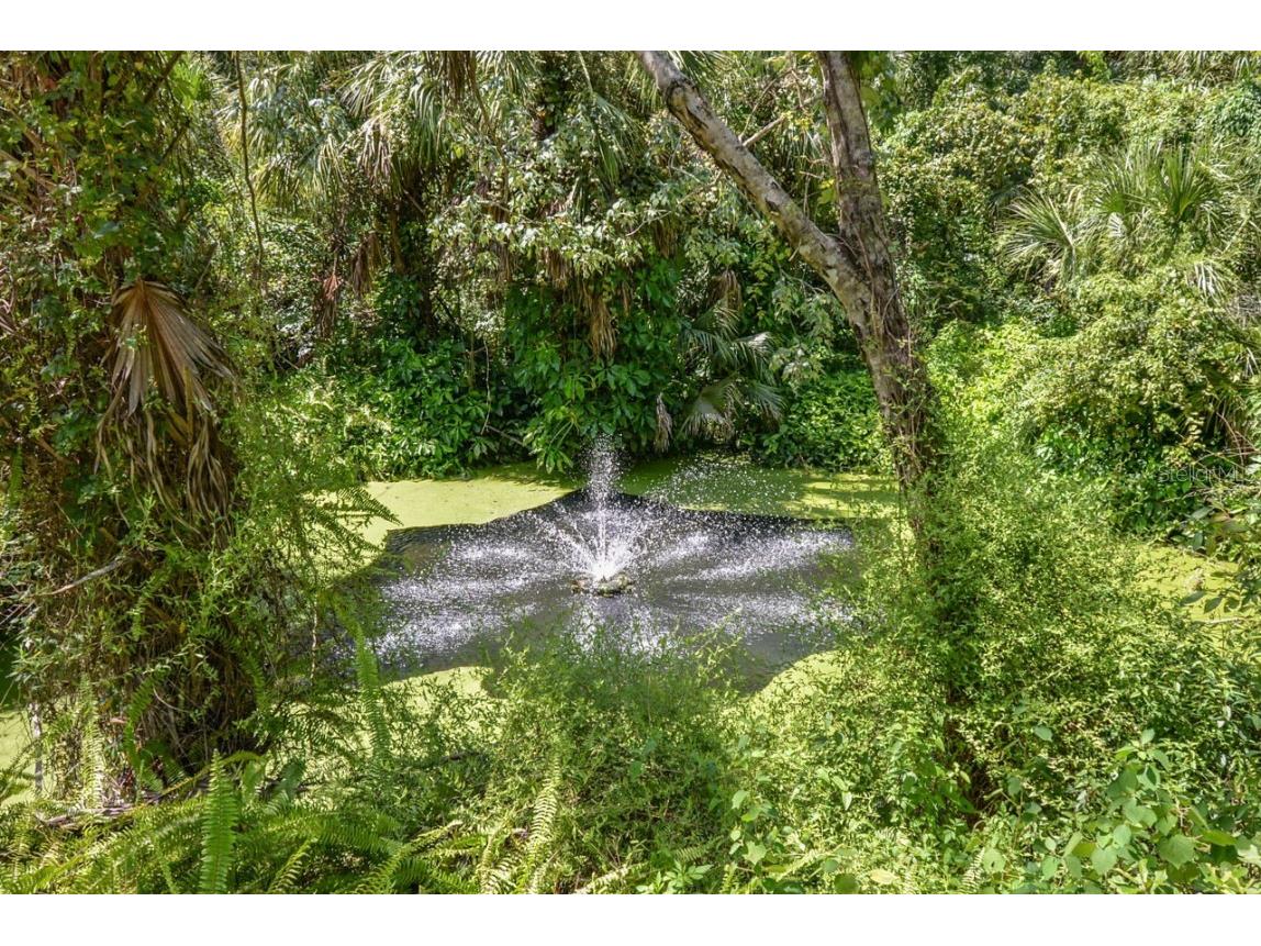 4808 Rambling River Road Brandon FL 33511 T3551852 image7