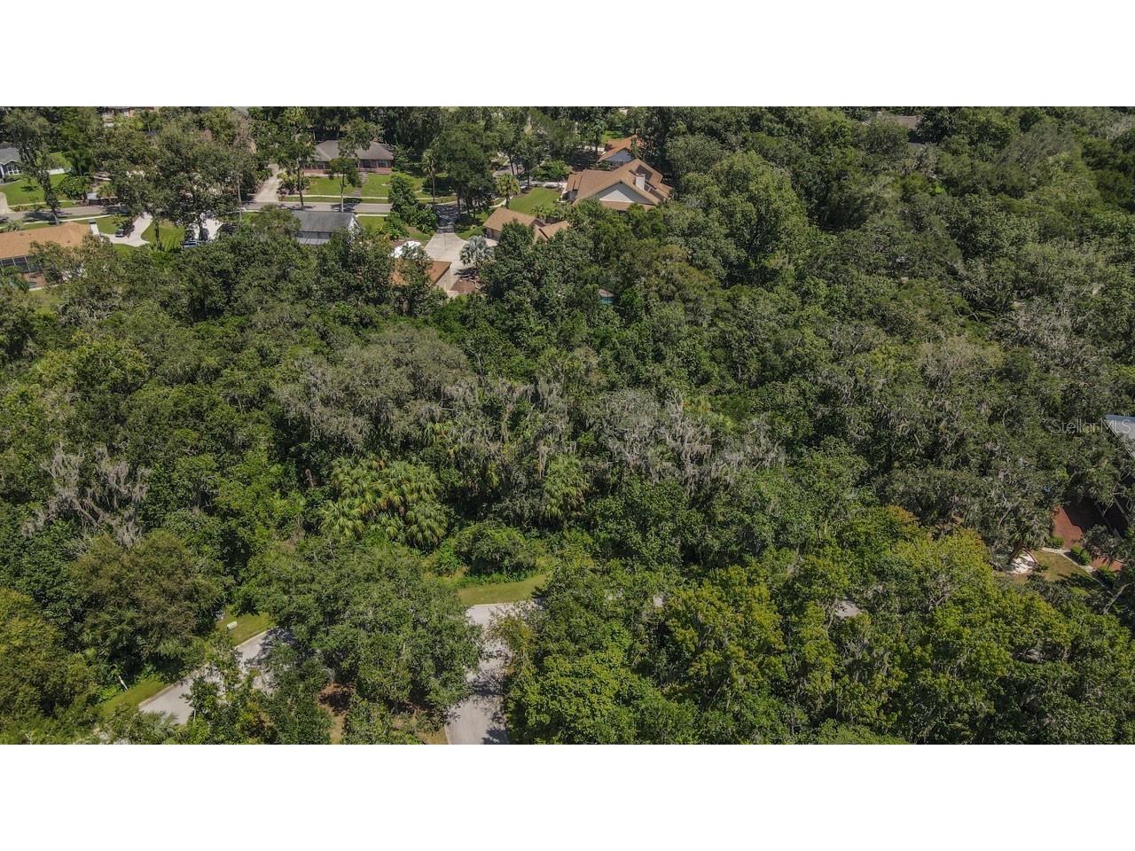 4808 Rambling River Road Brandon FL 33511 T3551852 image8