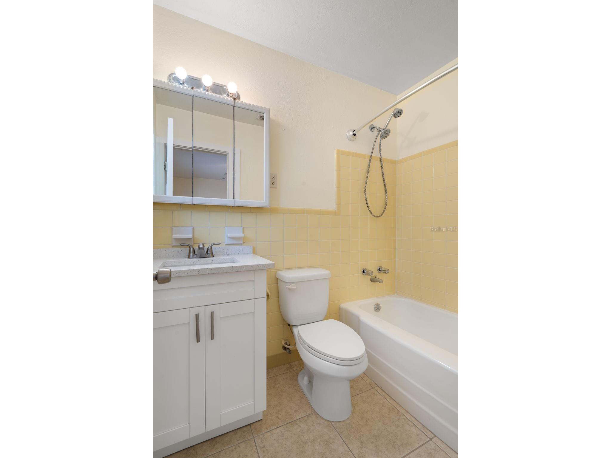 4808 W Euclid Avenue Tampa FL 33629 TB8490739 image32