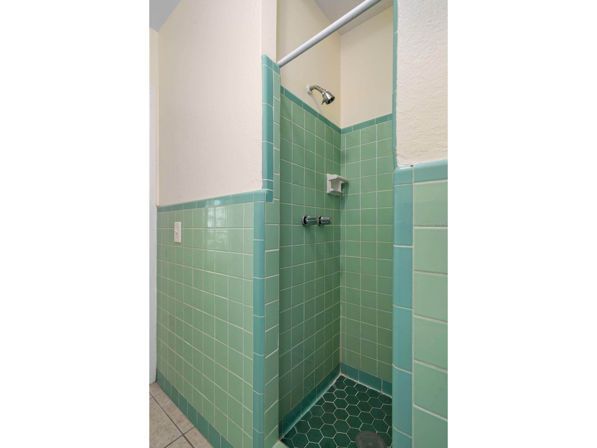 4808 W Euclid Avenue Tampa FL 33629 TB8490739 image39